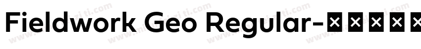 Fieldwork Geo Regular字体转换